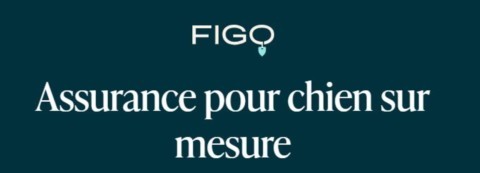 Figo, assurance pour chien